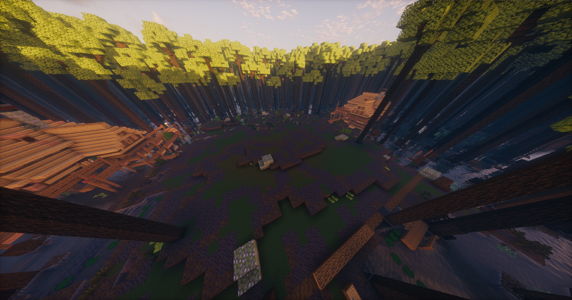 Swamp